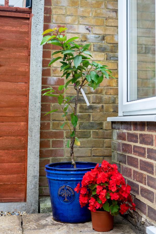 واتفورد Red Cherry House المظهر الخارجي الصورة